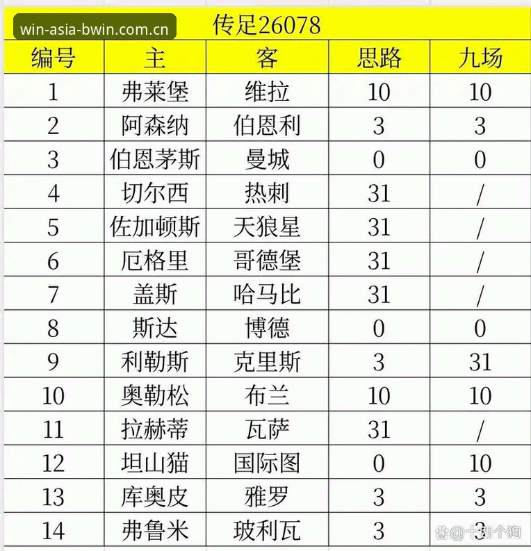 BWIN下载安装 欧联杯决赛观赛实用指南:维拉3-0大胜弗赖堡的深度解析与投注启发